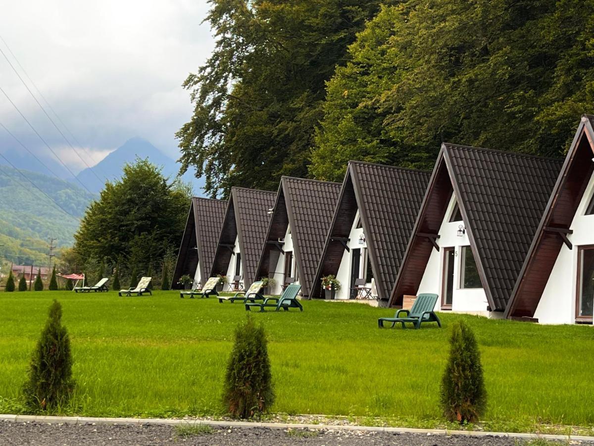Casutele De Sub Padure Hotel Avrig Exterior photo