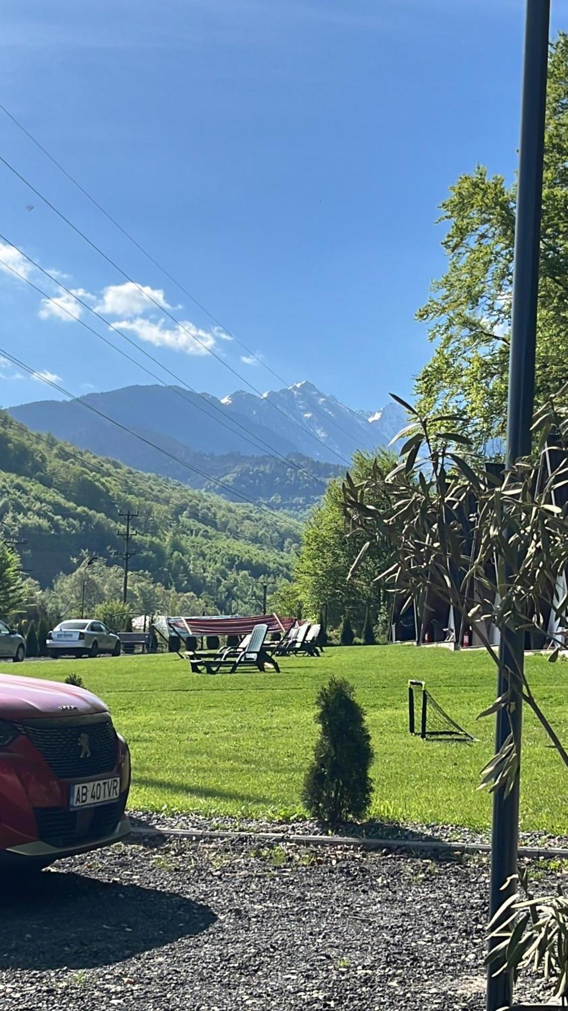 Casutele De Sub Padure Hotel Avrig Exterior photo